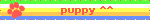 puppy__